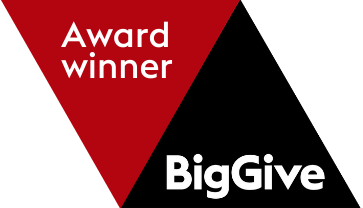 Award Winner - Big Give